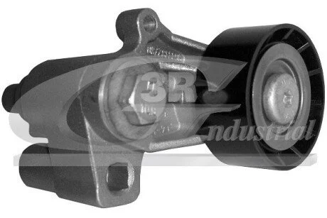 Натяжна планка Peugeot/Citroen 1,8.1,9D 91-> 3RG 10226