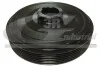 Шкив коленчатого вала ALFA ROMEO 145, 146, 155 CITROEN JUMPER FIAT DUCATO, TEMPRA, TIPO LANCIA DEDRA, DELTA II PEUGEOT BOXER 1.9D 04.89-04.02 10902