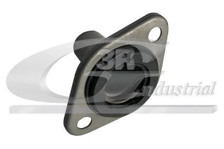 Сальник-втулка первинного вала КПП Citroen/Peugeot 2.0Hdi 16V 3RG 24224