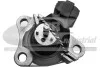 Опора двигуна Renault Megane, Scenic 1.9 dTi 02.01-08.03 40665