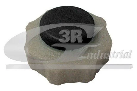 Запор 3RG 80631