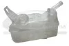 Бачок компенсационный Renault Megane II, Scenic II 02 - 81604