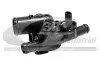 Термостат Nissan Qashqai/X-Trail/Renault Laguna/Espace/Koleos 2.0dCi 06- 81618