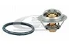 Термостат Nissan Juke/Tiida/Qashqai/X-Trail/Renault Fluence/Koleos/Laguna III/Megane III 1.6/1.8/2.0 2003- 81619