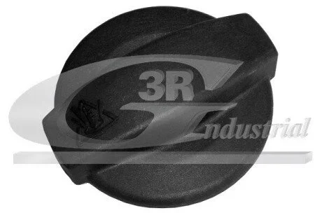 Запор 3RG 81731
