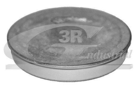 Крышка 3RG 84702