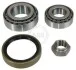 Подшипник ступицы задн/пер. Ducato/Boxer/Jumper/Relay 94-06 200320