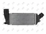 Радиатор интеркулера Citroen Jumpy/Peugeot Expert 2.0HDi 06- 0090180026