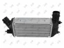 Радиатор интеркулера Citroen Jumpy/Peugeot Expert 2.0HDi 06- ABAKUS 0090180026 (фото 2)