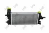 Iнтеркулер Ford Focus/C-Max/Transit 1.0 EcoBoost 12- ABAKUS 0170180020 (фото 2)