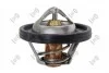 Термостат Ford Fiesta/Focus 1.4-1.6 16V 95-08 ABAKUS 0170250004 (фото 1)