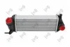 Iнтеркулер MB Citan/Renault Kangoo 1.5 dCi 08- 0420180011
