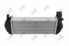 Iнтеркулер MB Citan/Renault Kangoo 1.5 dCi 08- ABAKUS 0420180011 (фото 2)
