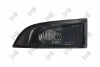 Повторювач повороту на дзеркало Renault Megane/Scenic 08- (L) ABAKUS 04236861S (фото 1)