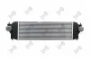 INTERCOOLER ABAKUS 0500180001 (фото 1)