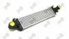 CHLODNICA INTERCOOLER ABAKUS 0540180005 (фото 2)