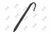 Electric Motor, tailgate ABAKUS 10102001 (фото 1)