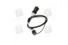 Трос зчеплення FIAT Scudo 2.1 TDS mod. 97-/Evasion 2.1 Tds mod.96-/Zeta 2.0 ie TB – 2.0 Tds – 2.0 1 ADRIAUTO 11.0116.1 (фото 2)