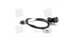 Трос зчеплення FIAT Scudo 2.1 TDS mod. 97-/Evasion 2.1 Tds mod.96-/Zeta 2.0 ie TB – 2.0 Tds – 2.0 1 ADRIAUTO 11.0116.1 (фото 3)