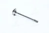 Клапан двигуна EX VAG ASB/BKN/BKS/BMK/BNG/BPP/CAPA/CARA 26.8X6X99.5 (вир-во AE) V98011