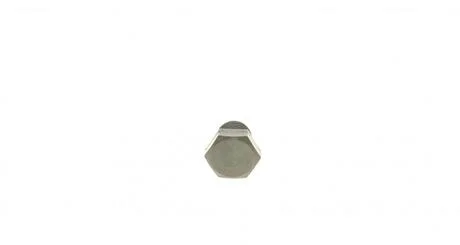 Пробка масляного пiддона AIC 51934 (фото 1)