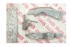 Комплект ланцюга ГРМ BMW 3 (E90/E91/E92/E93/F30/F80/F31) (N57 D30 C) 05- (72 ланок) (симплекс) 59833SET