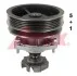 AIRTEX FIAT Помпа воды Tempra,Tipo 1.6 93- 1431