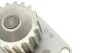 Помпа води Citroen C2, C3, C4, C4 coupe /Peugeot 206,207,307,1007 1.4 16V 03- AIRTEX 1692 (фото 2)