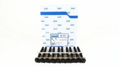 Болти головки цилiндра к-т AJUSA 81024700
