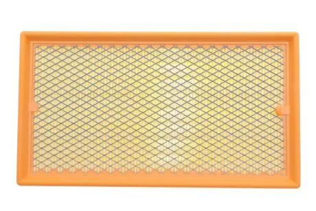 Фильтр воздушный (с сеткой)Ford Focus I 98-04, Tourneo Connect 02-, Transit Connect 02- Альфа ALPHA FILTER AF1616s