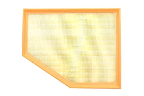 Фільтр забору повітря ALPHA FILTER AF1994