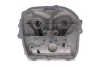 Головка блоку циліндрів AMC 910709 (фото 4)