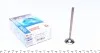 Впускний клапан AMP PVWG039-S-0-N