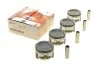 Поршень Daewoo Nexia 1.5 16V 97- (76.50mm/STD) (к-кт 4 шт) PX-DAE-4A-3548-000