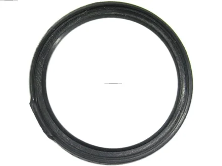 Фото 1 - сальник гумометалевий As-pl SDK3004(BULK) Сальник гумометалевий As-pl SDK3004(BULK) (фото 1)