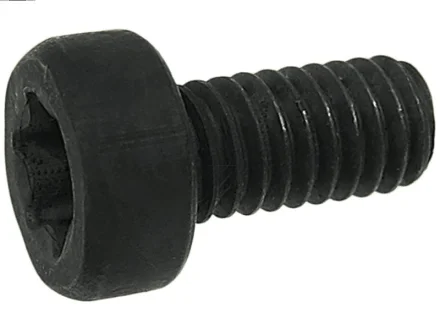 Болт з головкою системи TORX з чорного металу As-pl SP3022S(BULK) (фото 1)