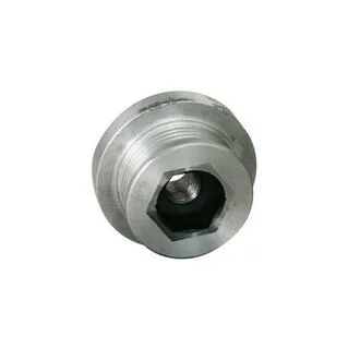 Шкив генератора 1.5dCi Kangoo/Clio 01-/Logan 06- ASAM 30316