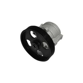 Насос ГУРа Renault Logan (04-), Clio, Megane, Kangoo(97-), Sandero (08-), Scenic (99-, Duster (10-) (со шкивом) ASAM 30619