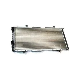Радиатор охлаждения двигателя Ducato/Jumper 94-06 ASAM 32173