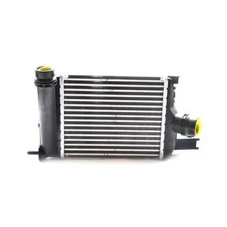 Радіатор інтеркулера Renault Logan, Clio, Dokker, Sandero 0.9, 1.2, 1.5D (12-) ASAM 32418