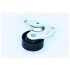 Натяжитель ремня генератора Kangoo 1.5 dCi (-AC) ASAM 55062