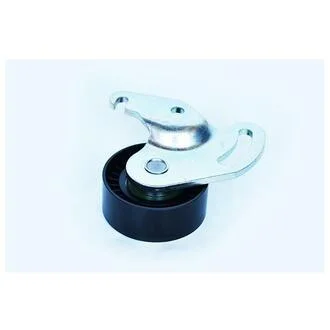 Натяжитель ремня генератора Kangoo 1.5 dCi (-AC) ASAM 55062