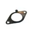 Прокладка глушника Ford Focus (55569) Asam