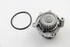 Водяной насос Caddy III/Octavia/Golf IV/V/Passat/Polo 1.6/2.0 97- ASAM 70489 (фото 2)