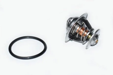 Термостат VW PASSAT ASAM 73314