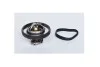Термостат FORD FUSION (73379) ASAM