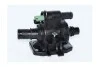 Термостат Citroen Nemo, Peugeot Bipper 1,4hdi /Ford Fiesta 1.4 TDCi (01-) (73386) Asam