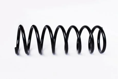 FORD Пружина задняя C-Max,Focus C-Max 03-10 ASAM 73805 (фото 1)