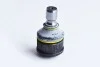 Опора кульова MAZDA 5 (CR19) 2.0 (2005-2010) (74552) ASAM