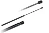 Амортизатор кришки багажника FORD MONDEO III (BWY) 2.0 16V TDDi/TDCi (00-07) 79603